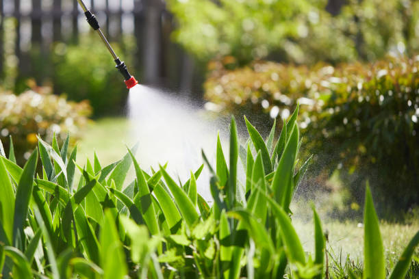24/7 Emergency Mosquito Control experts in Prairie Heights, WA