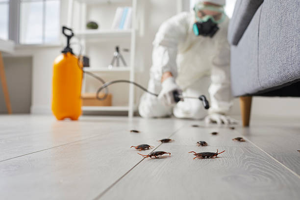 Trusted Rodent Control service in Prairie Heights, WA - Nex Pest Control